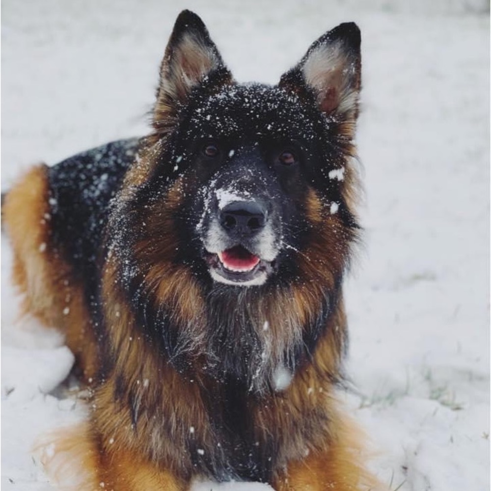 Meet your Posher, Macy